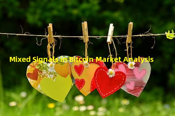Mixed Signals in Bitcoin Market Analysis