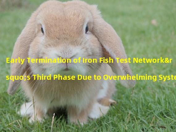 Early Termination of Iron Fish Test Network’s Third Phase Due to Overwhelming System Traffic