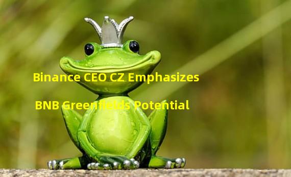 Binance CEO CZ Emphasizes BNB Greenfields Potential
