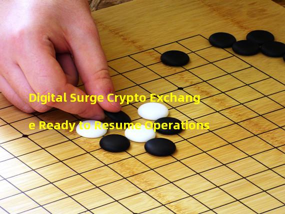 Digital Surge Crypto Exchange Ready to Resume Operations