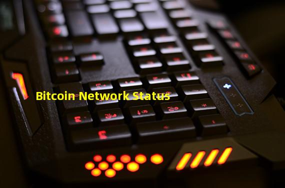Bitcoin Network Status
