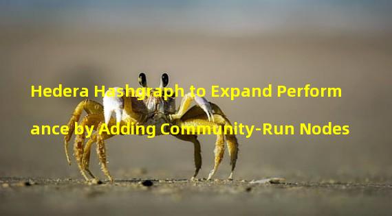 Hedera Hashgraph to Expand Performance by Adding Community-Run Nodes