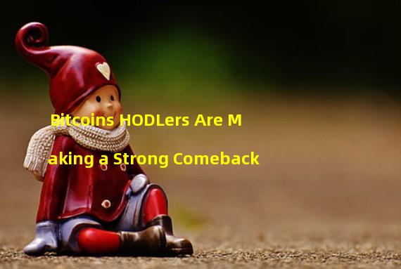 Bitcoins HODLers Are Making a Strong Comeback