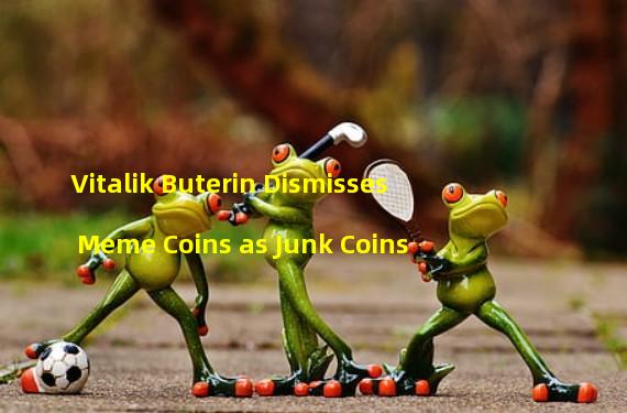 Vitalik Buterin Dismisses Meme Coins as Junk Coins 