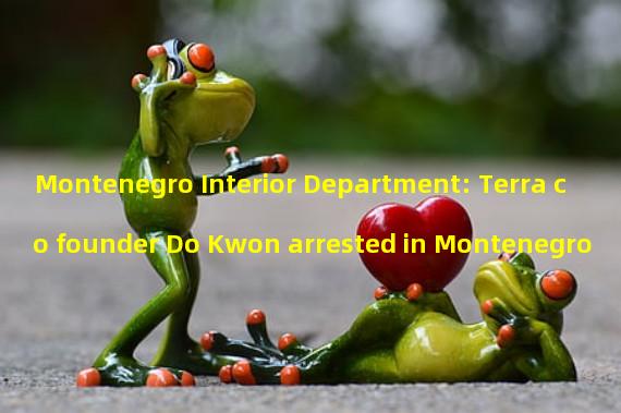 Montenegro Interior Department: Terra co founder Do Kwon arrested in Montenegro