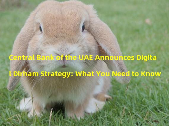 Central Bank of the UAE Announces Digital Dirham Strategy: What You Need to Know