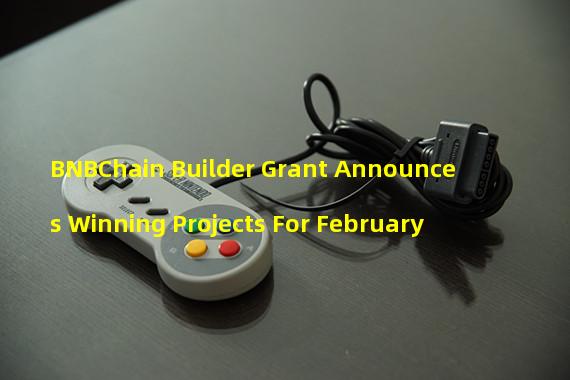 BNBChain Builder Grant Announces Winning Projects For February