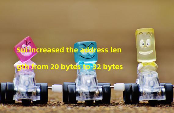 Sui increased the address length from 20 bytes to 32 bytes