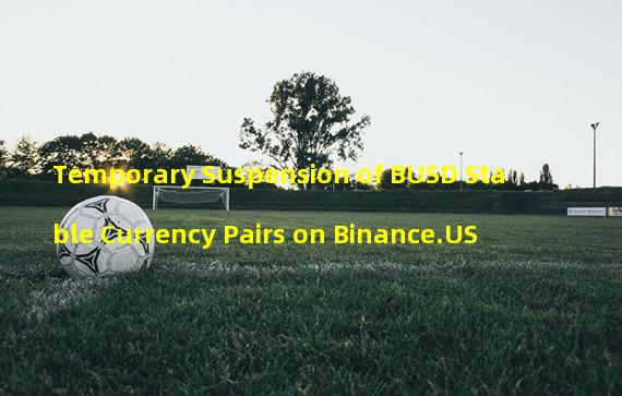 Temporary Suspension of BUSD Stable Currency Pairs on Binance.US