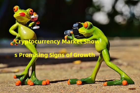 Cryptocurrency Market Shows Promising Signs of Growth
