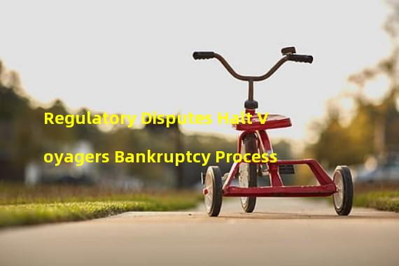 Regulatory Disputes Halt Voyagers Bankruptcy Process