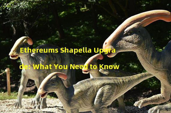 Ethereums Shapella Upgrade: What You Need to Know