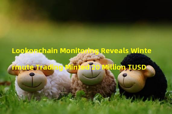 Lookonchain Monitoring Reveals Wintermute Trading Minted 20 Million TUSD