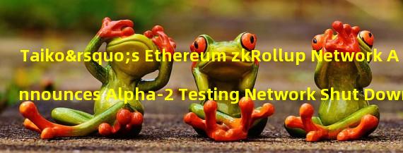 Taiko’s Ethereum zkRollup Network Announces Alpha-2 Testing Network Shut Down