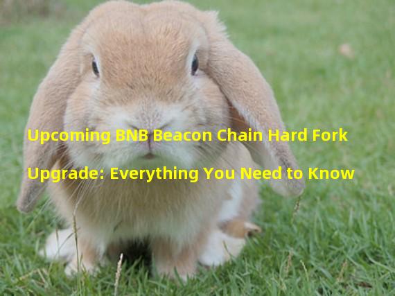 Upcoming BNB Beacon Chain Hard Fork Upgrade: Everything You Need to Know