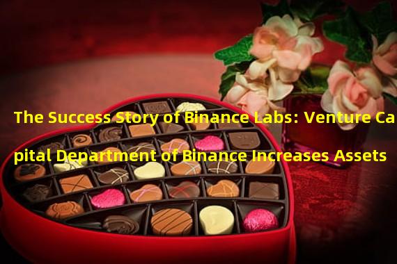The Success Story of Binance Labs: Venture Capital Department of Binance Increases Assets to $9 Billion