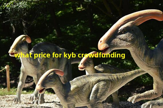 what price for kyb crowdfunding