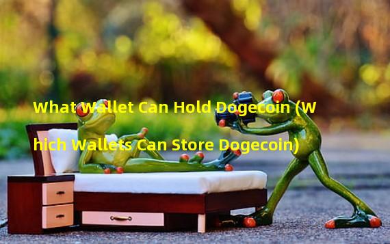 What Wallet Can Hold Dogecoin (Which Wallets Can Store Dogecoin)