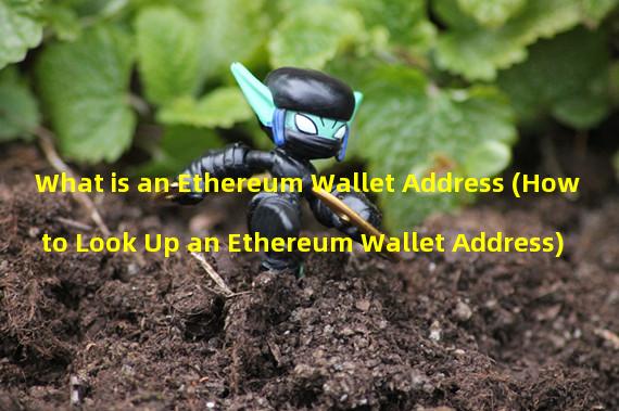 What is an Ethereum Wallet Address (How to Look Up an Ethereum Wallet Address)