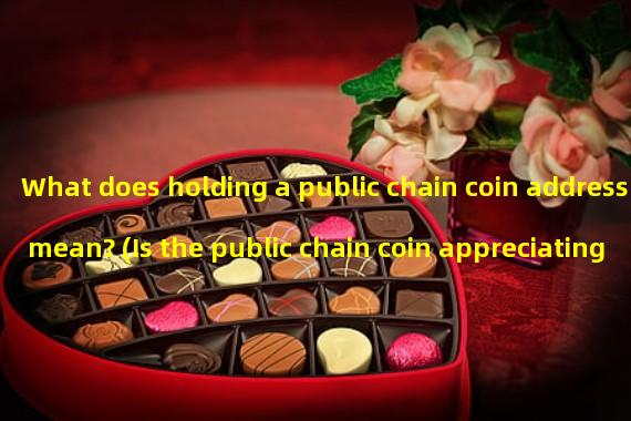 What does holding a public chain coin address mean? (Is the public chain coin appreciating quickly?)