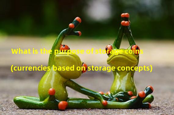 What is the purpose of storage coins (currencies based on storage concepts)