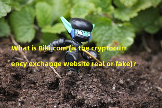 What is Bibi.com (is the cryptocurrency exchange website real or fake)? 