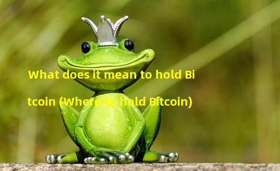 What does it mean to hold Bitcoin (Where to hold Bitcoin)