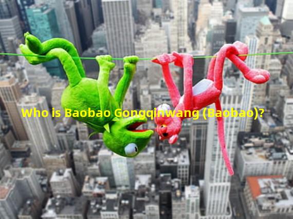 Who is Baobao Gongqinwang (Baobao)?