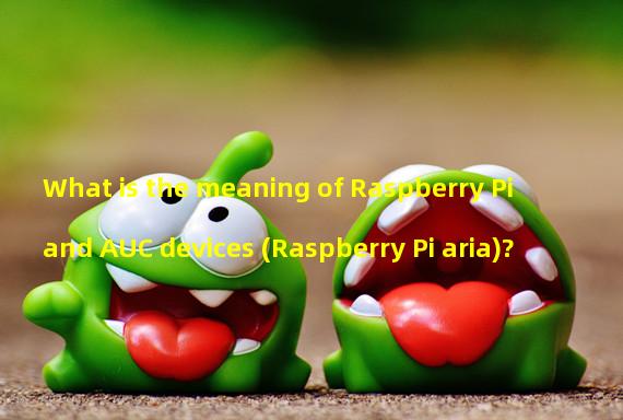 What is the meaning of Raspberry Pi and AUC devices (Raspberry Pi aria)?