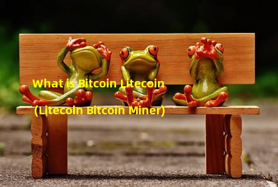 What is Bitcoin Litecoin (Litecoin Bitcoin Miner)
