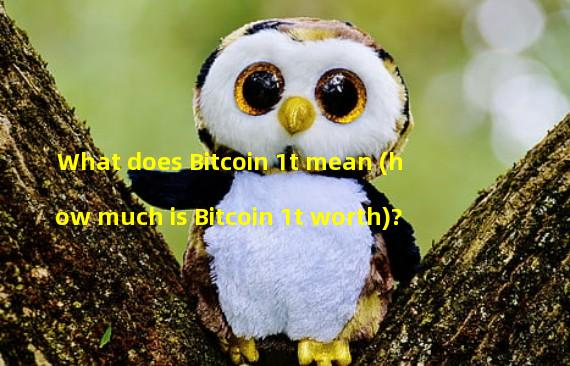 What does Bitcoin 1t mean (how much is Bitcoin 1t worth)?