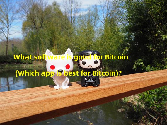 What software is good for Bitcoin (Which app is best for Bitcoin)?