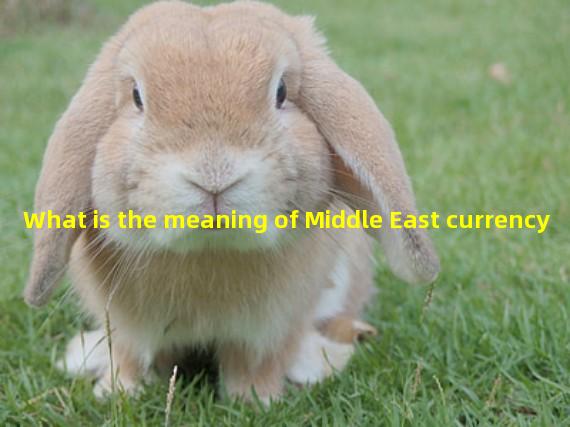 What is the meaning of Middle East currency