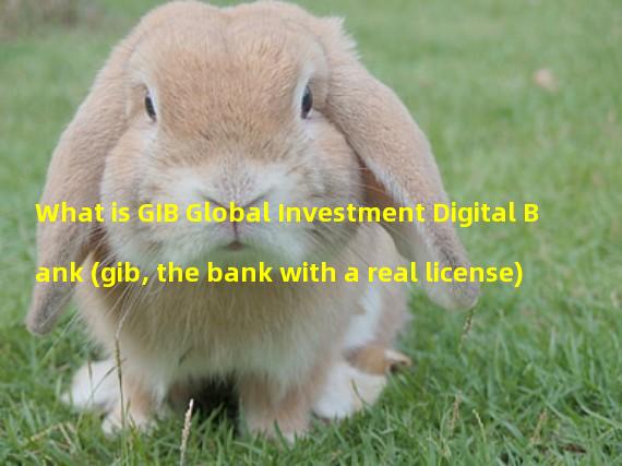 What is GIB Global Investment Digital Bank (gib, the bank with a real license)