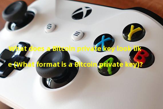 What does a Bitcoin private key look like (What format is a Bitcoin private key)?