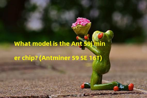 What model is the Ant S9j miner chip? (Antminer S9 SE 16T)