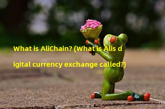 What is AliChain? (What is Alis digital currency exchange called?)