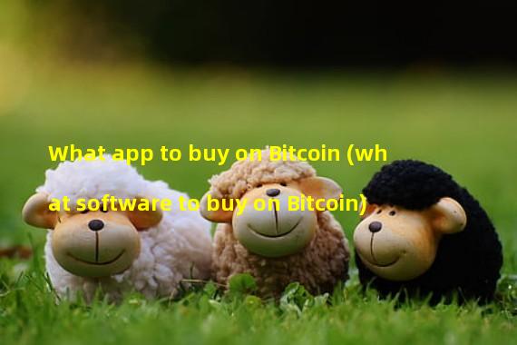 What app to buy on Bitcoin (what software to buy on Bitcoin)