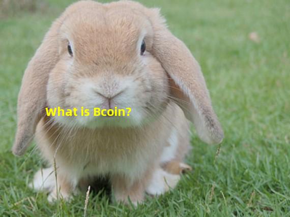 What is Bcoin?