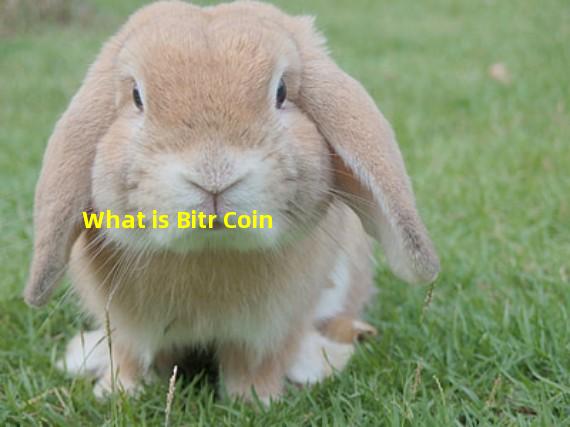 What is Bitr Coin