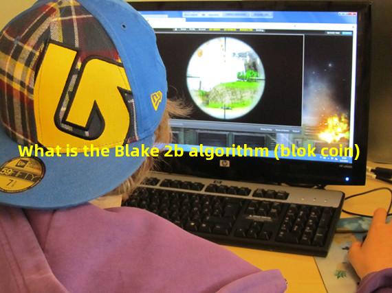 What is the Blake 2b algorithm (blok coin)