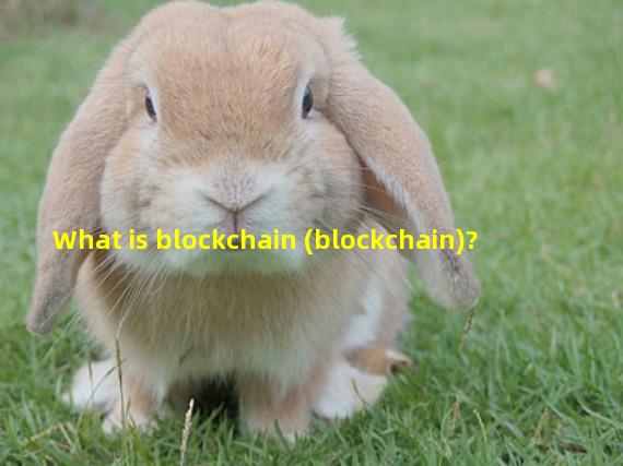 What is blockchain (blockchain)?