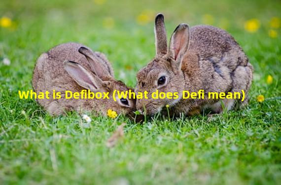 What is Defibox (What does Defi mean)