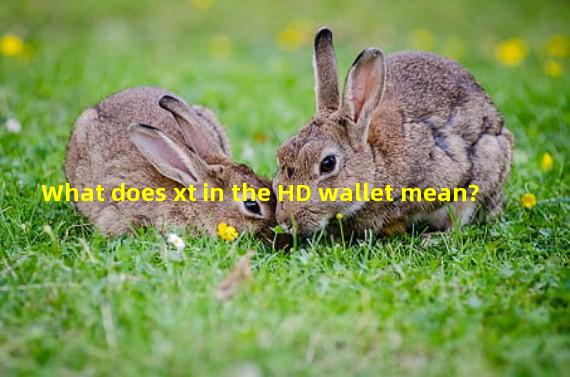 What does xt in the HD wallet mean?