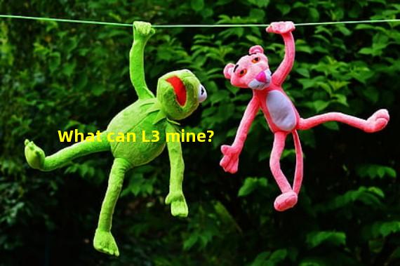 What can L3 mine? 