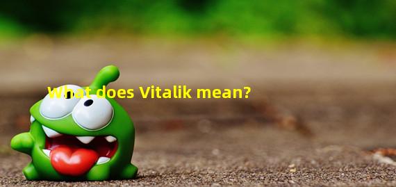 What does Vitalik mean?